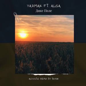 Yarmak, Alisa - Дике Поле - Acoustic Remix by BioNik