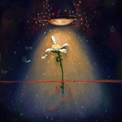 Samwan - 4 Січня