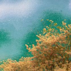 SPALAXX - Крапля