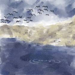 sucilna_nevdacha.exe - всі оці деталі