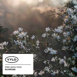 størg, mashiii, finton - Sunrise