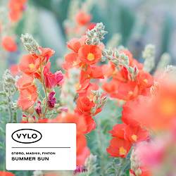 størg, mashiii, finton - Cozy Fire