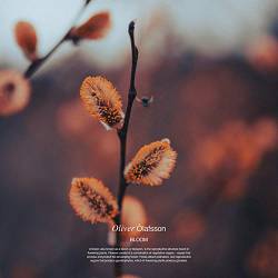 Oliver Ólafsson - Bloom