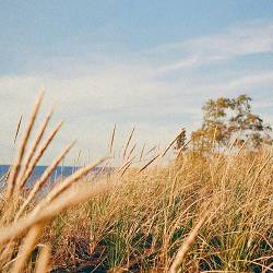 ZenithEcho - Aftermath