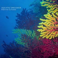 Aquatic Dreamer - Marine Echoes