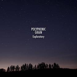 Polyphonic Grain - Exploratory