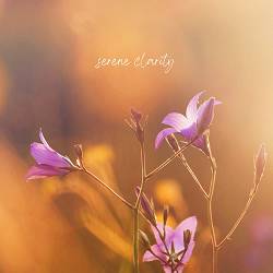 Lulu Ray - Serene Clarity