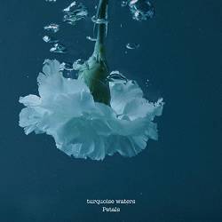 turquoise waters - Petals