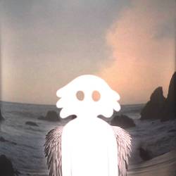 нестор - кап-кап!