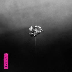 Little Simz, Obongjayar - Lion