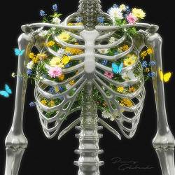 Райчу, Golubenko - Сигнали