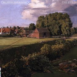 Blood Orange - The Field (feat. The Durutti Column, Tariq Al-Sabir, Caroline Polachek & Daniel Caesar)