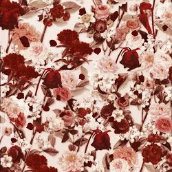 d4vd, Hyunjin - Always Love featuring Hyunjin (Stray Kids)