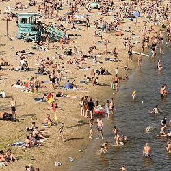 Нікіта Кісельов - Чайка