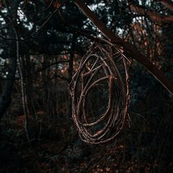 Хонест - Арго