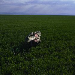 Bulgarian Cartrader - Brizzle