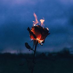 GHEIST, 8Kays - Flowers & Guns