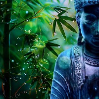 Zen Flutes - Fascinating Ney Flutes