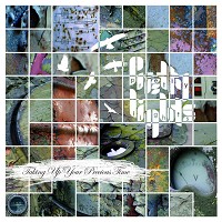 Pretty Lights - Finally Moving