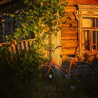 foreveralone - forgotten memories