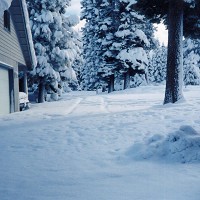 vhs ghost, foreveralone - digital snow