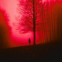 darkdemon., chillsoul., foreveralone - Temporary Love