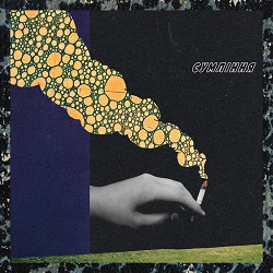 рома майк, Воха, аппекс - Сумління