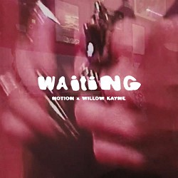 NOTION, Willow Kayne - WAITING