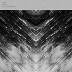 Erin Nahoto - Fluid Points Memory