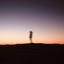 Snazzy - Silhouettes