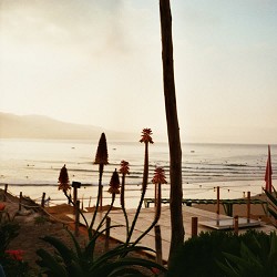 Lost In Pacific - The Only