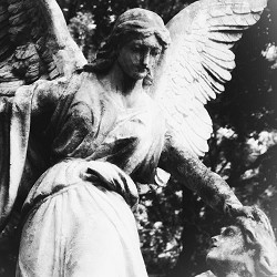 Околиця - любов моя