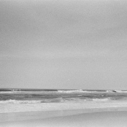 ripcity - океан