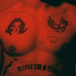 Berliner Döner - спокій (в грудях)