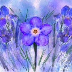 краш тест - пере--зимувала