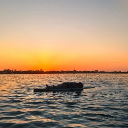 Disclosure - The Sun Comes Up Tremendous