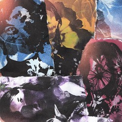 Leleka i Paporot - Розкажи