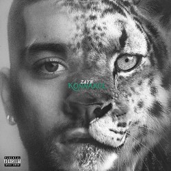 ZAYN - Side Effects