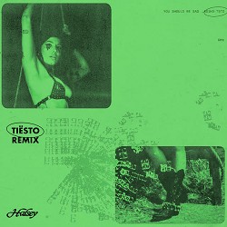 Halsey, Tiësto - You should be sad - Tiësto Remix