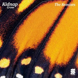 Kidnap, Leo Stannard - Moments - Ben Böhmer & Nils Hoffmann Remix