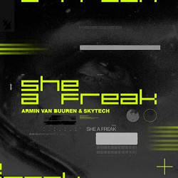 Armin van Buuren, Skytech - She A Freak