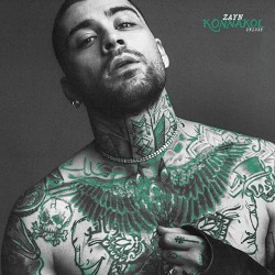 ZAYN - Daydreamin’