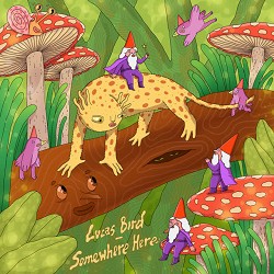 Lucas Bird - Somewhere Here