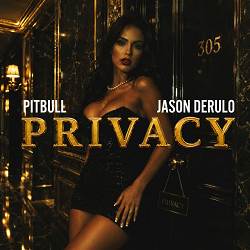 Pitbull, Jason Derulo - Privacy