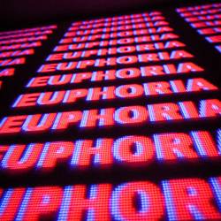 Mark Greider - Euphoria