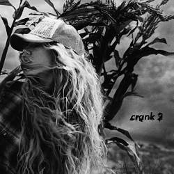 Slayyyter - crank 2